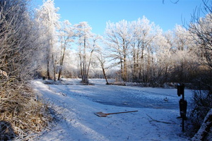 090109-wvdl-winter in HaDee  03 
